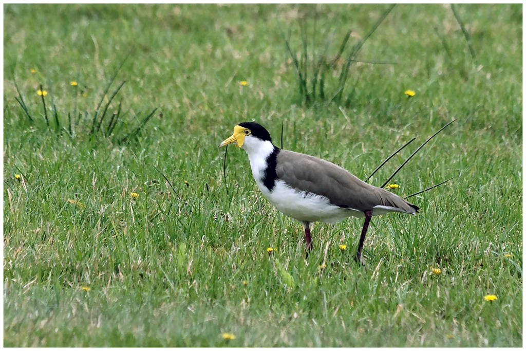 11 - Cape Farewell (04).jpg